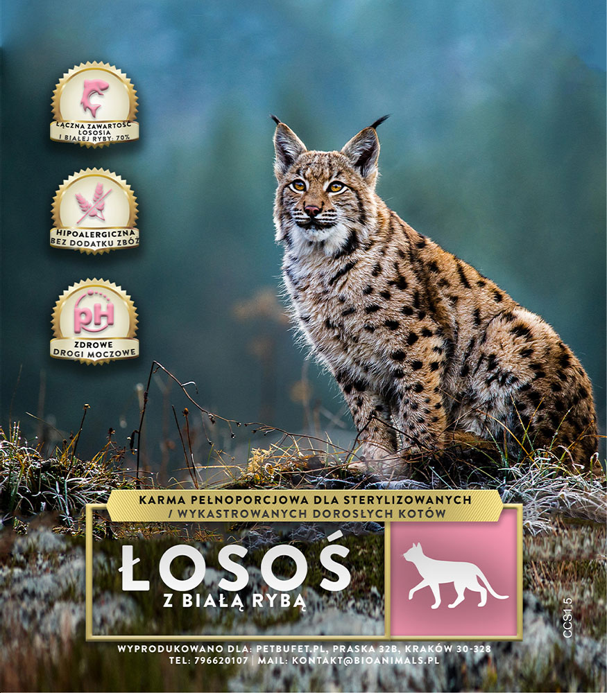 Kot: Łosoś z białą rybą