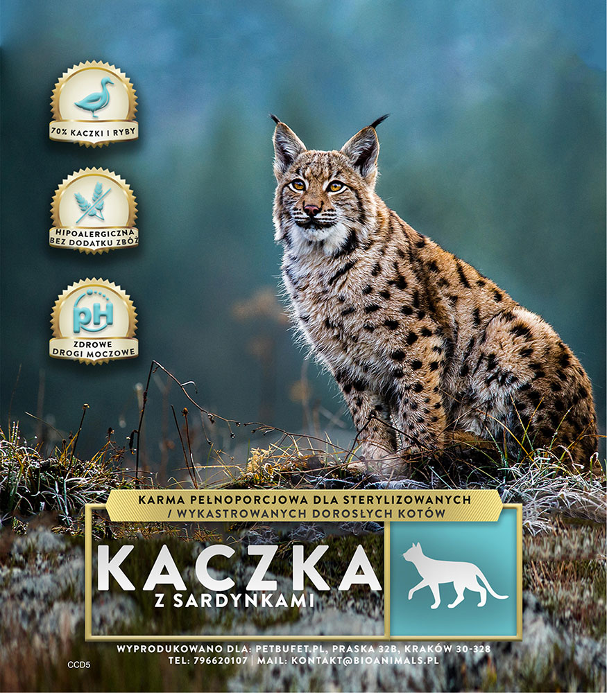 Kot: Kaczka z sardynką